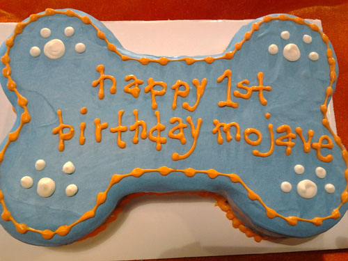 Bone appetit 2024 a doggie bakery